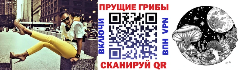 Псилоцибиновые грибы Cubensis  купить  сайты  Ахтырский 